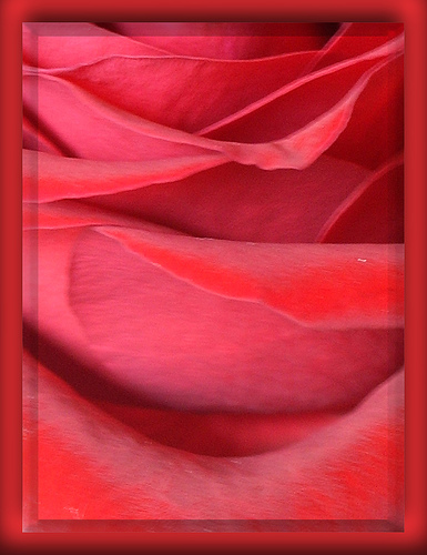 red passion