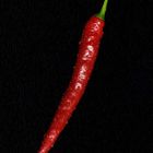 Red Pepper