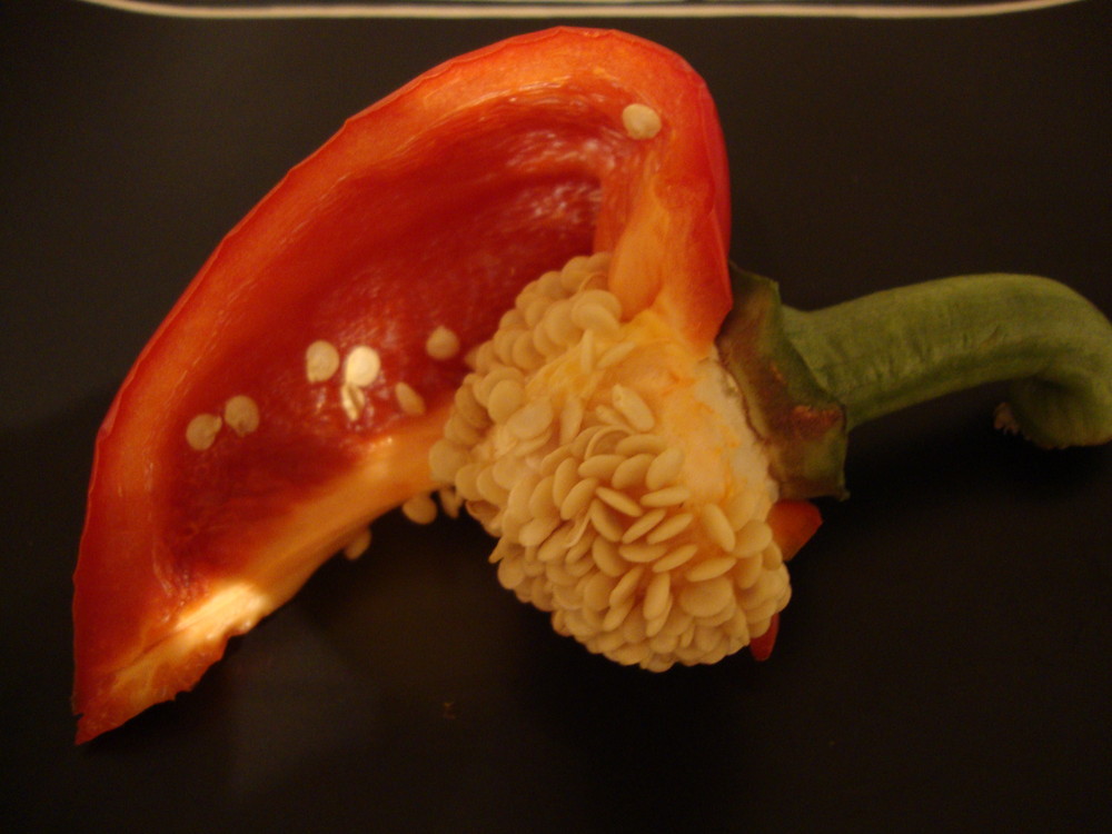 Red Pepper