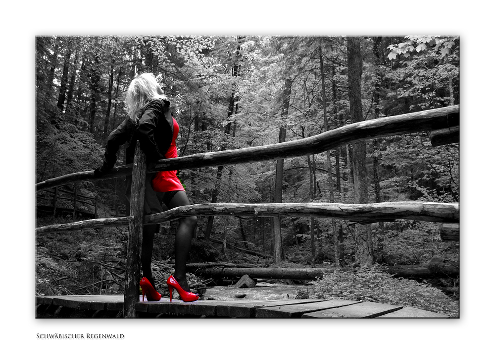 Red Pumps (Forum Fotografie 2013)