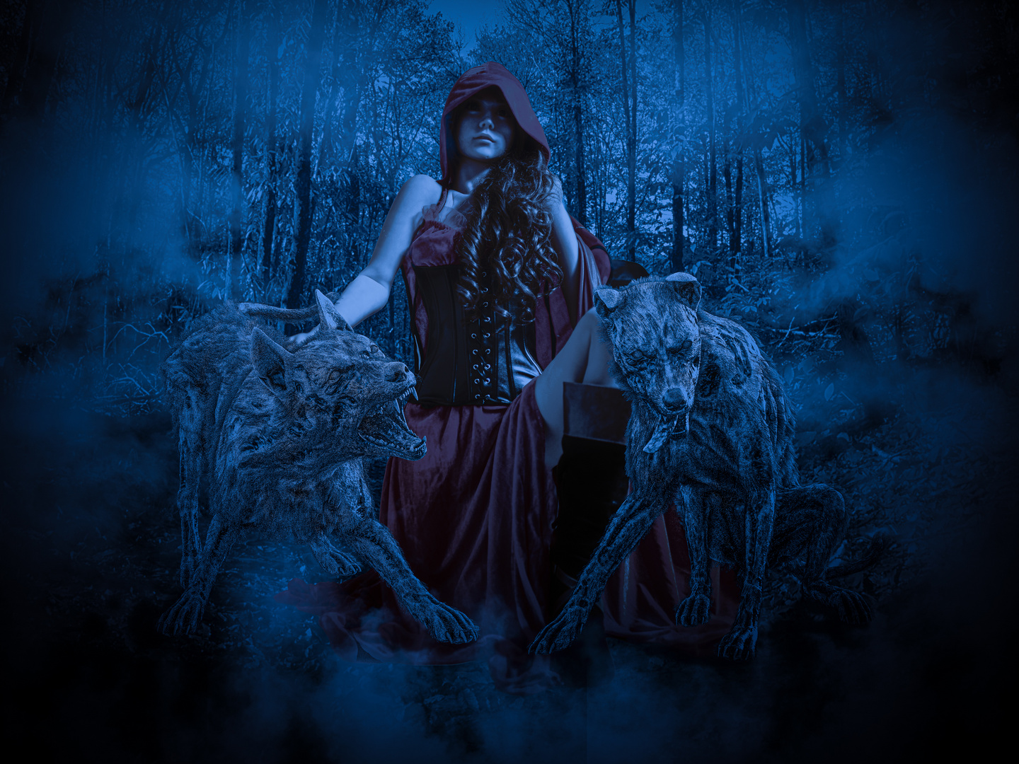 Red Riding Hood (Dark Version)