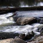 Red River Dam