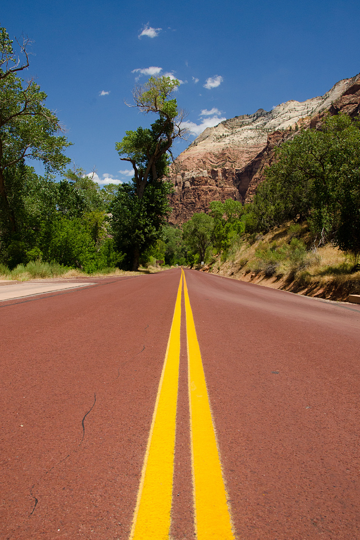 Red roads of Zion Canyon