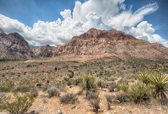 Red Rock Canyon