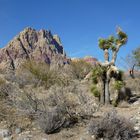 Red Rock Canyon