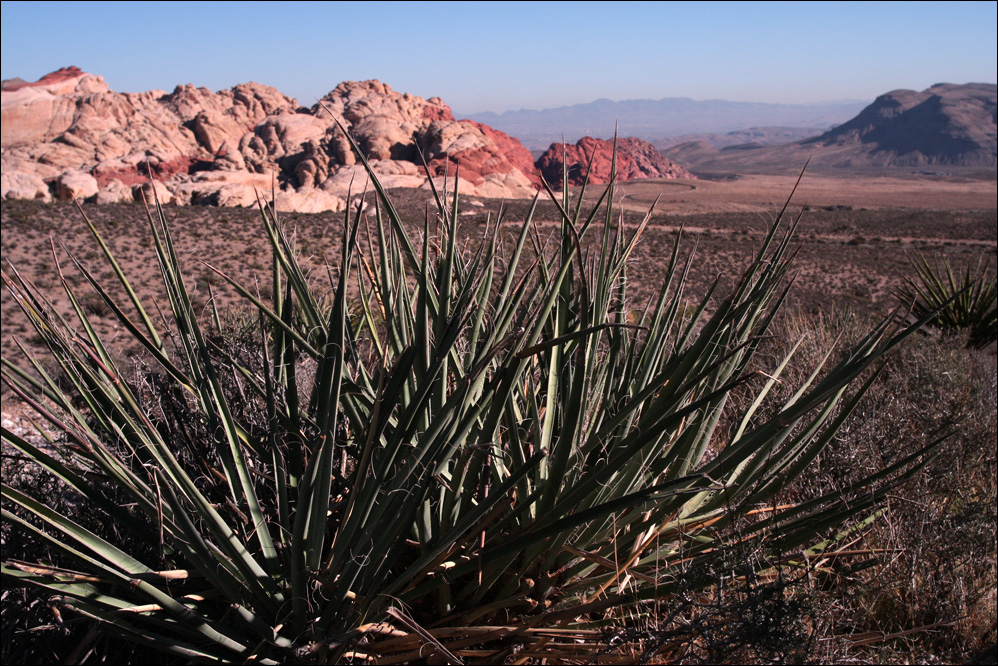 Red Rock Canyon (2)