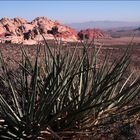 Red Rock Canyon (2)