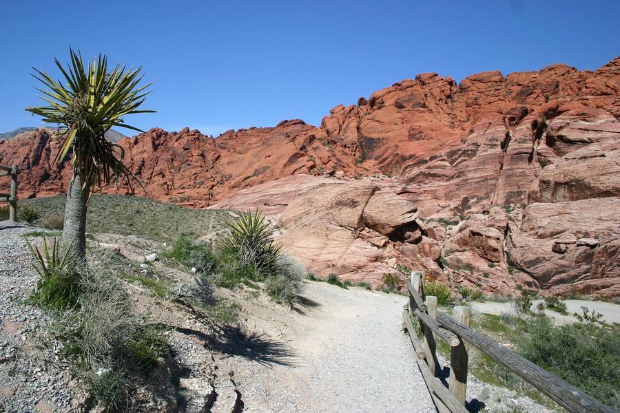 Red Rock Canyon 2