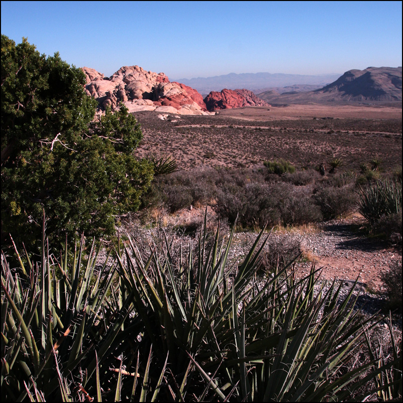 Red Rock Canyon 2