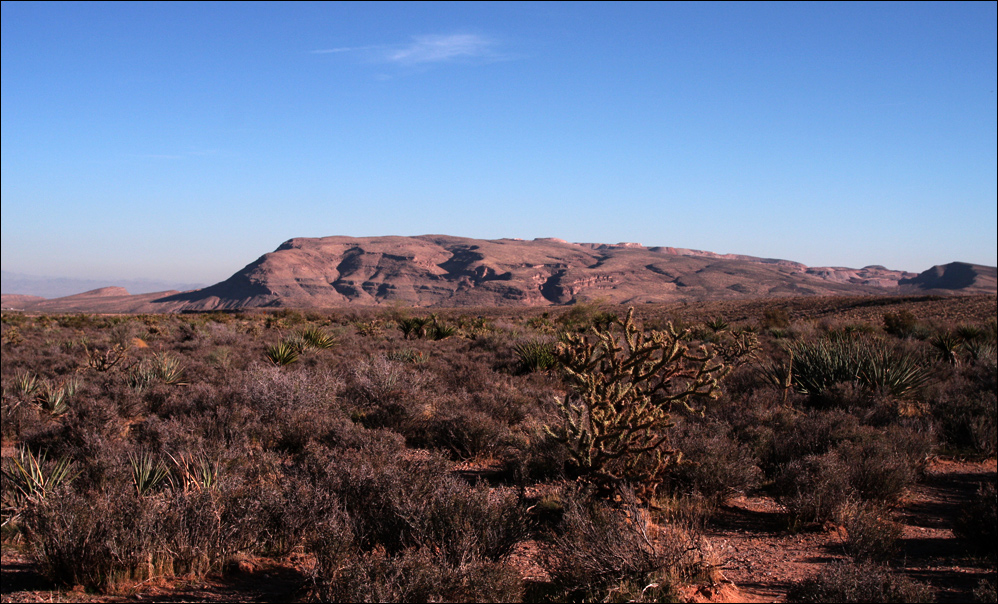 Red Rock Canyon (3)