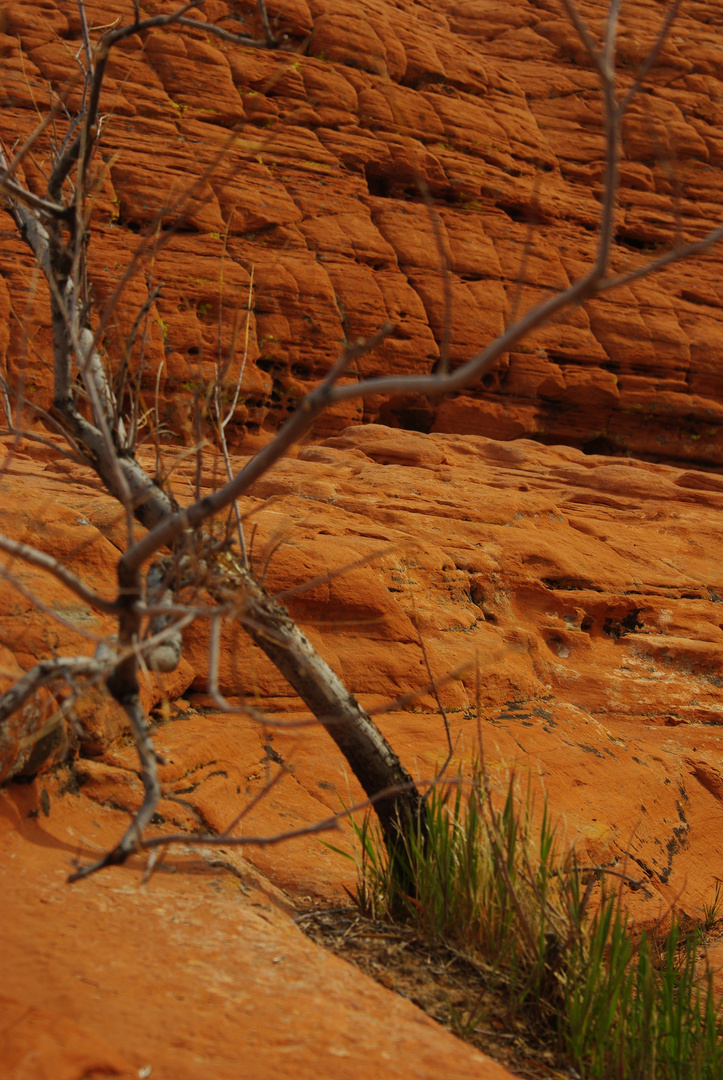 Red Rock Canyon