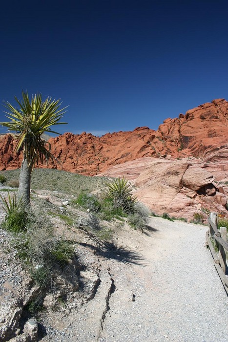 Red Rock Canyon