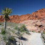 Red Rock Canyon