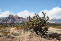 Red Rock Canyon