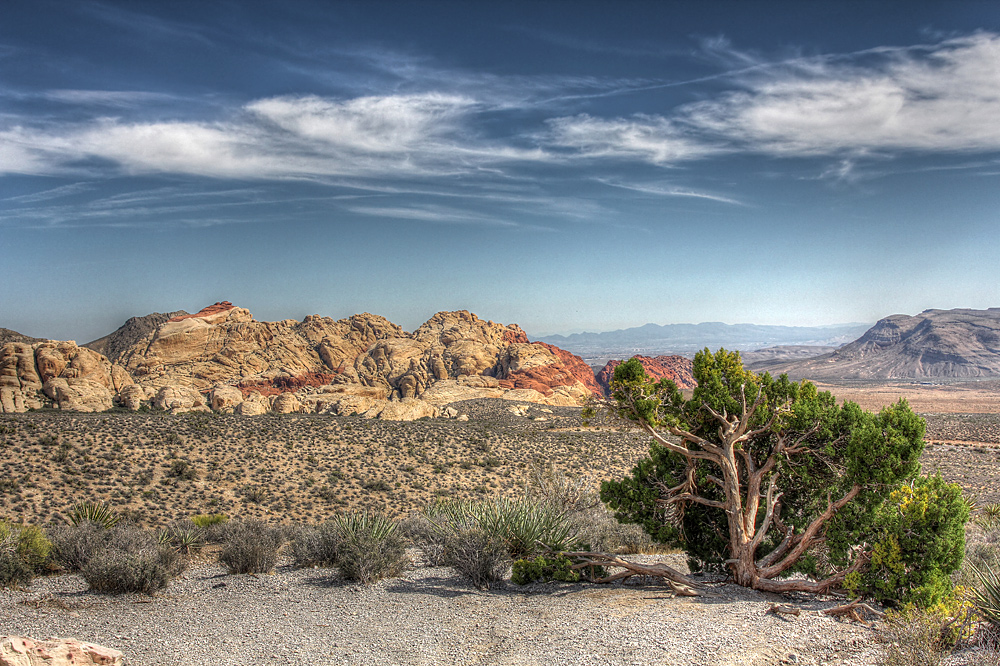 Red Rock Canyon HDR (6)