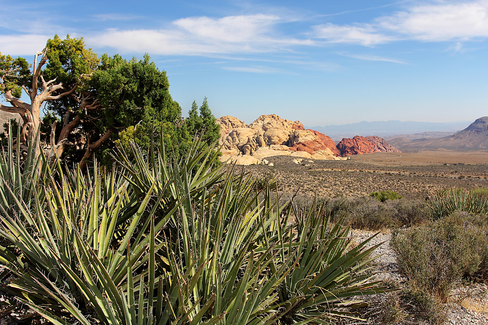 Red Rock Canyon HDR (7)