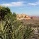 Red Rock Canyon HDR (7)