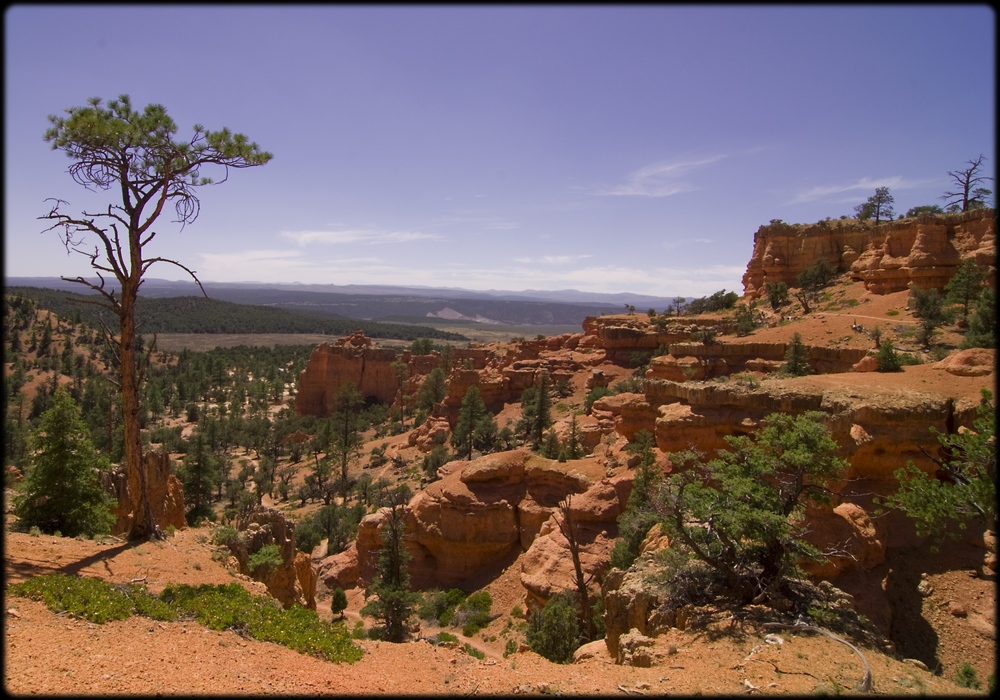 Red Rock Canyon Landscape