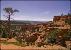 Red Rock Canyon Landscape