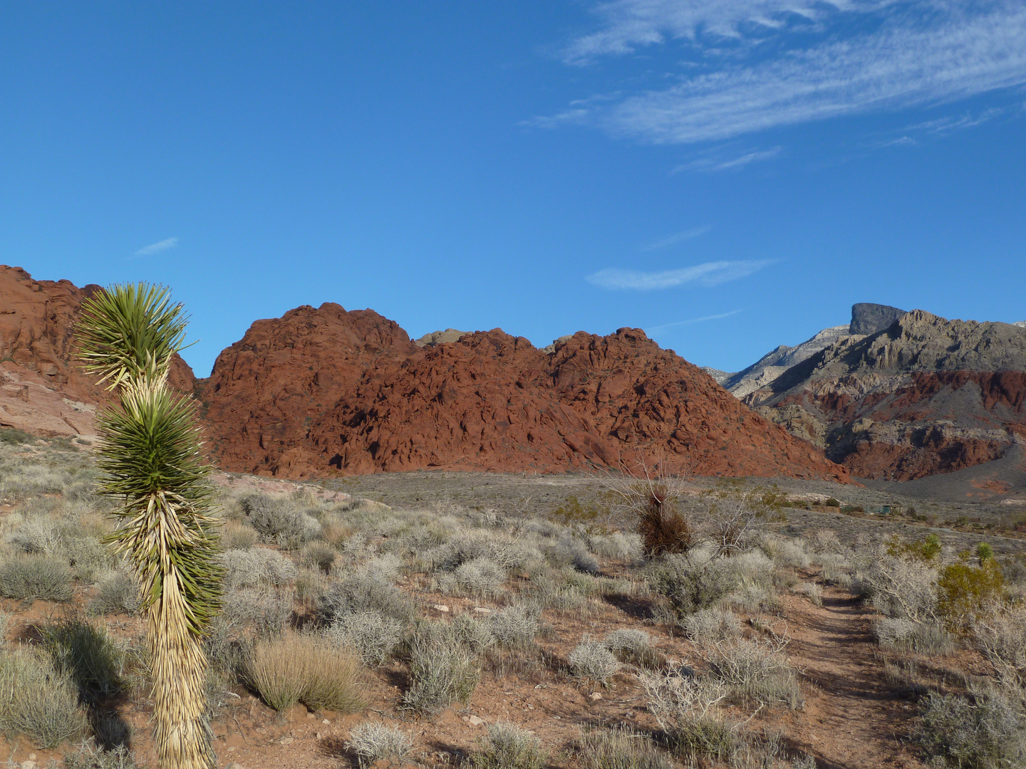 Red Rock Canyon N. C. A.