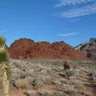 Red Rock Canyon N. C. A.