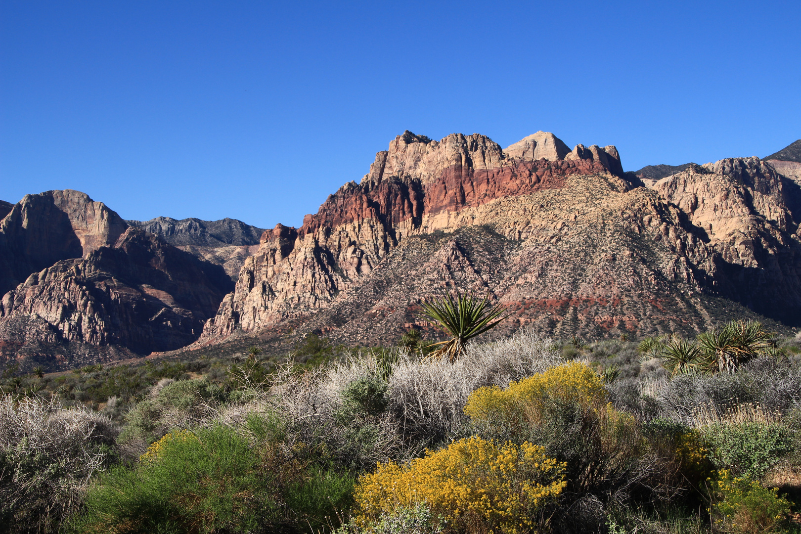 Red Rock Canyon National Conservation Area