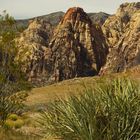 Red Rock Canyon / Nevada