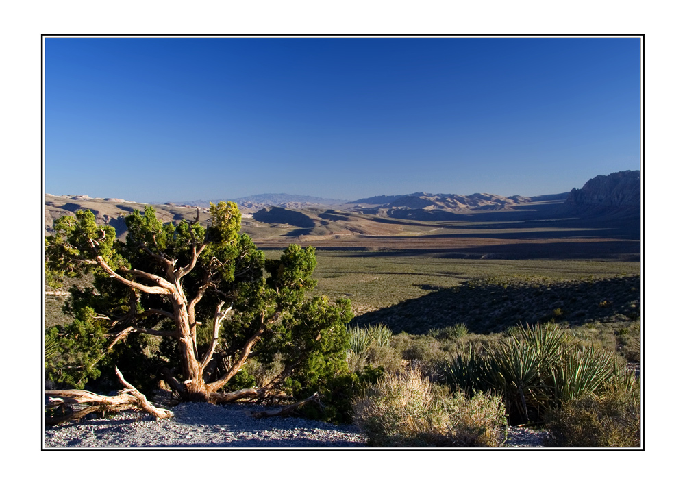 Red Rock Canyon - Scenic Drive