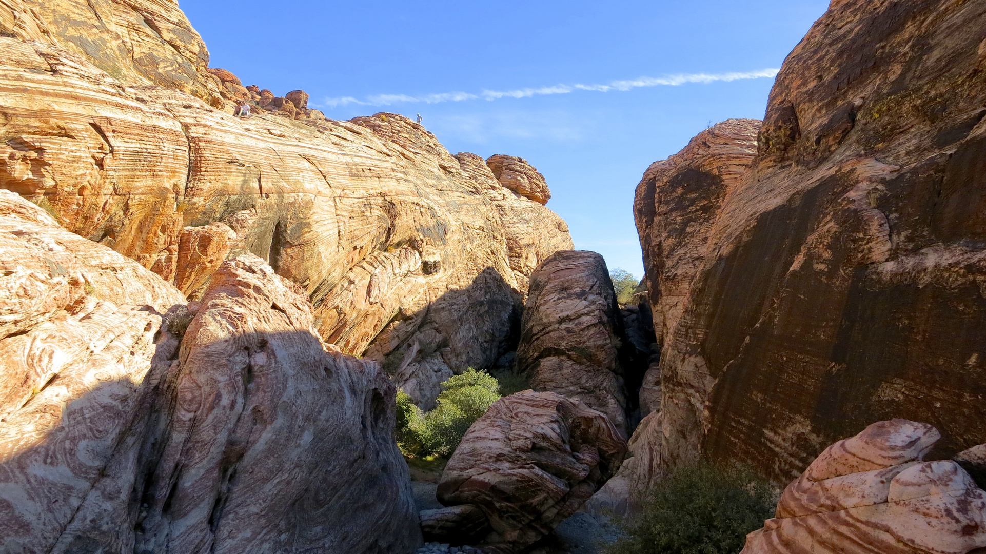 Red Rock Colors 1