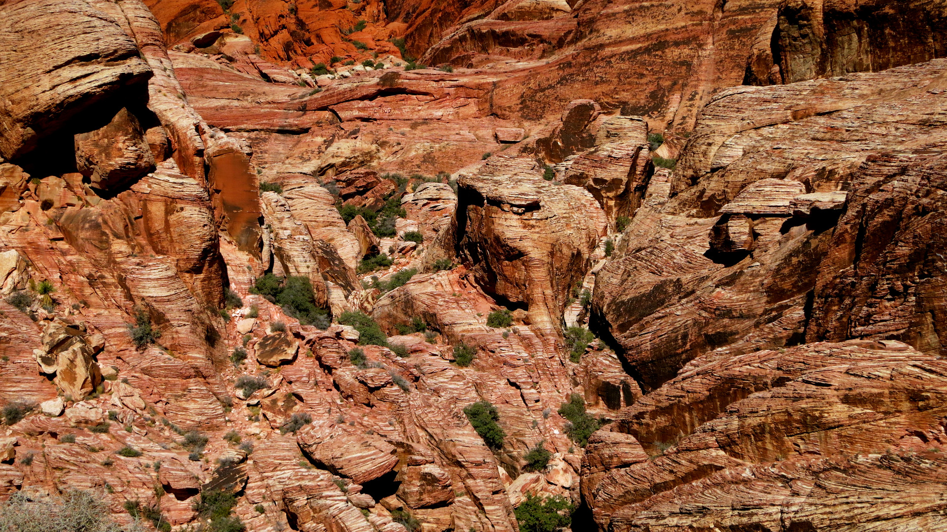 Red Rock Colors 2