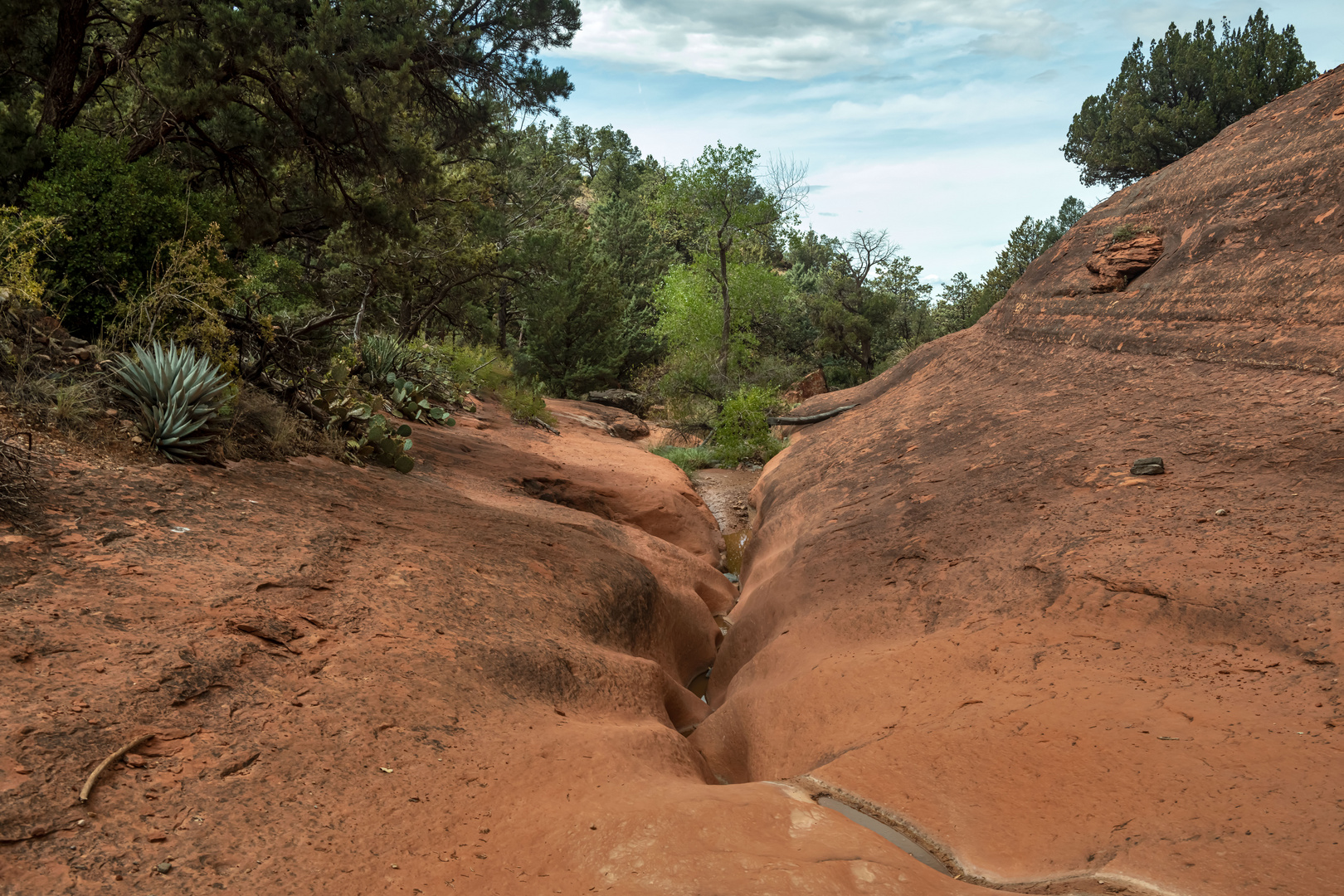 Red Rock Country