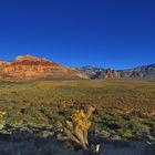 Red Rocks