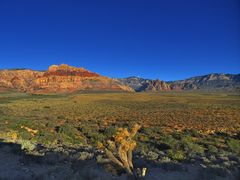 Red Rocks