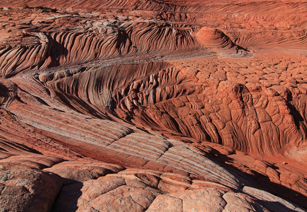 Red Rocks