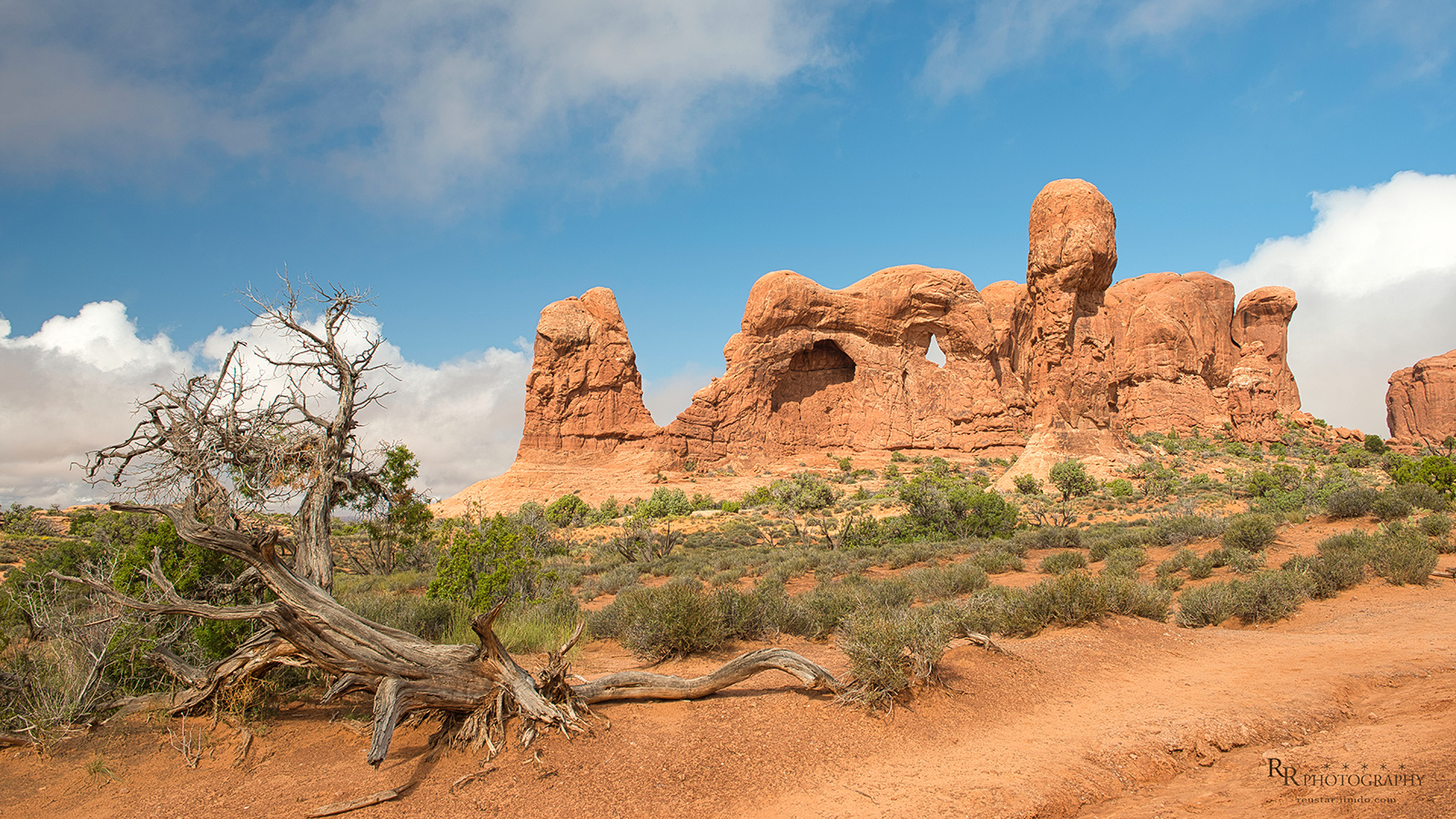 red rocks