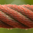 Red Rope