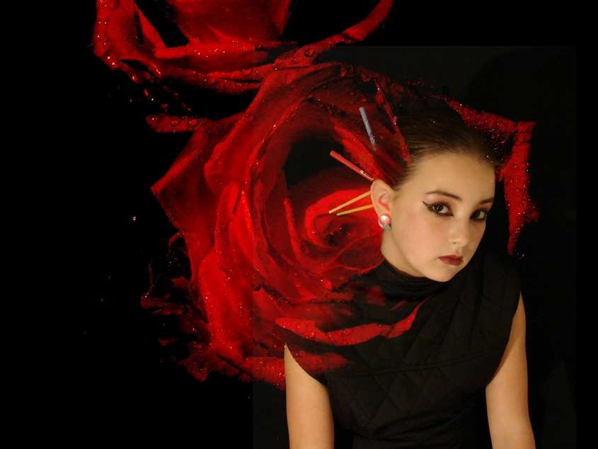 red rose