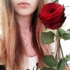 red rose 