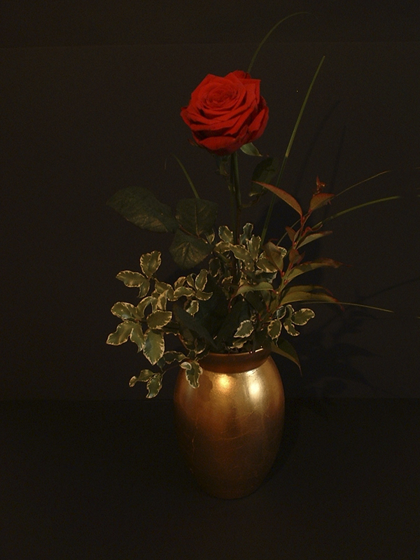 Red Rose, Golden Vase