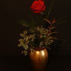 Red Rose, Golden Vase