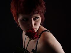 Red Rose2