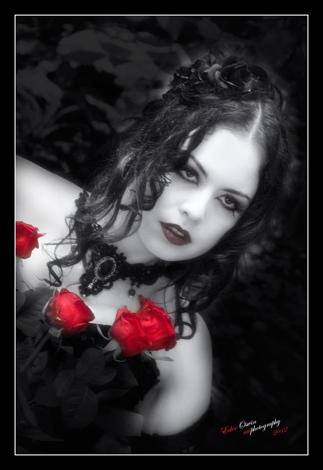 Red Roses