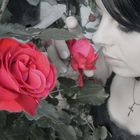 ~red roses~