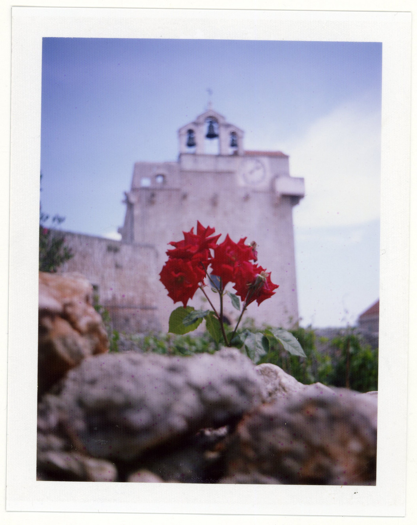 red roses for me