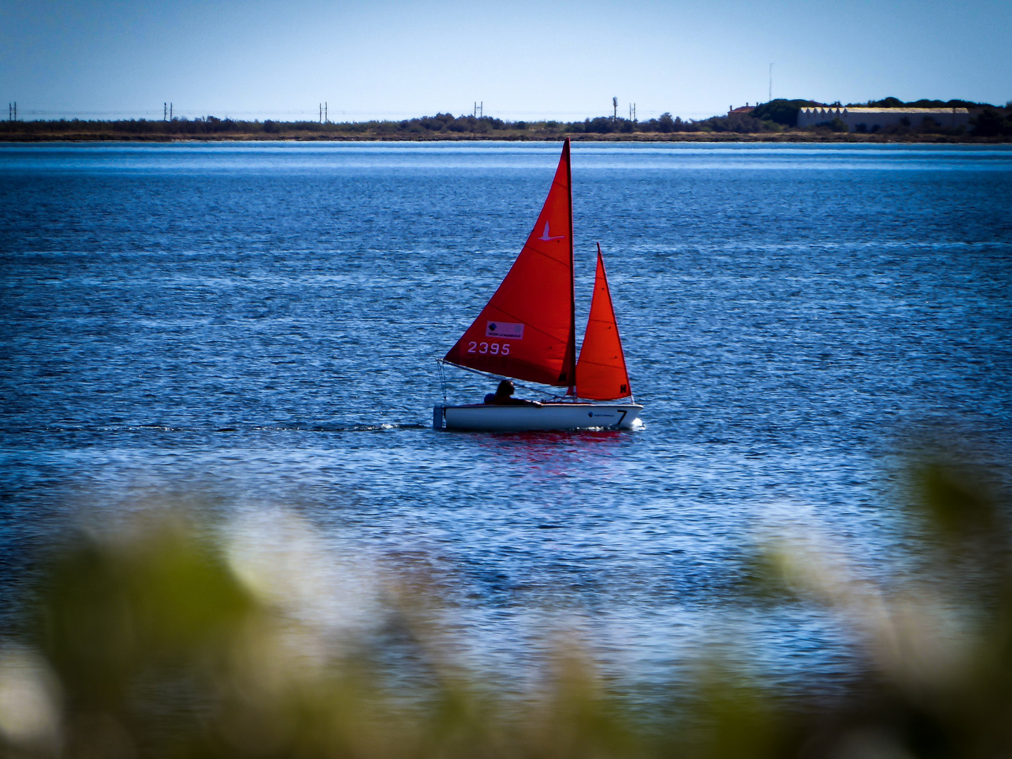 Red Sail - Etang de Thau