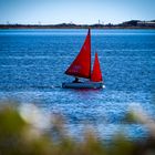 Red Sail - Etang de Thau