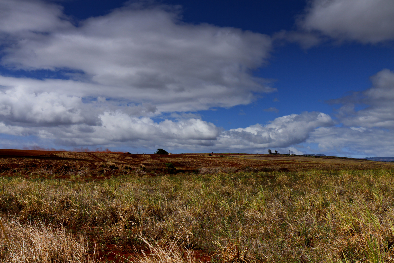 Red Sand