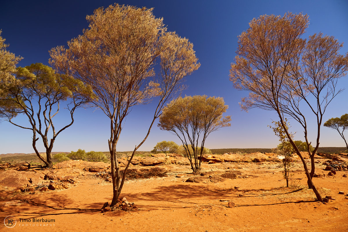 Red Sand