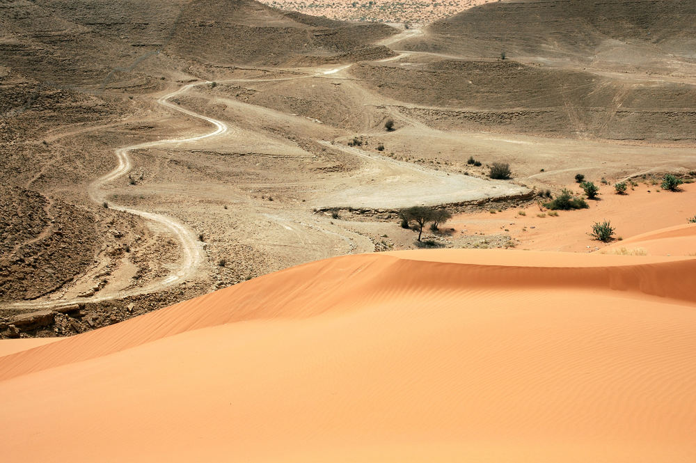 Red Sands Desert, Riyadh Area