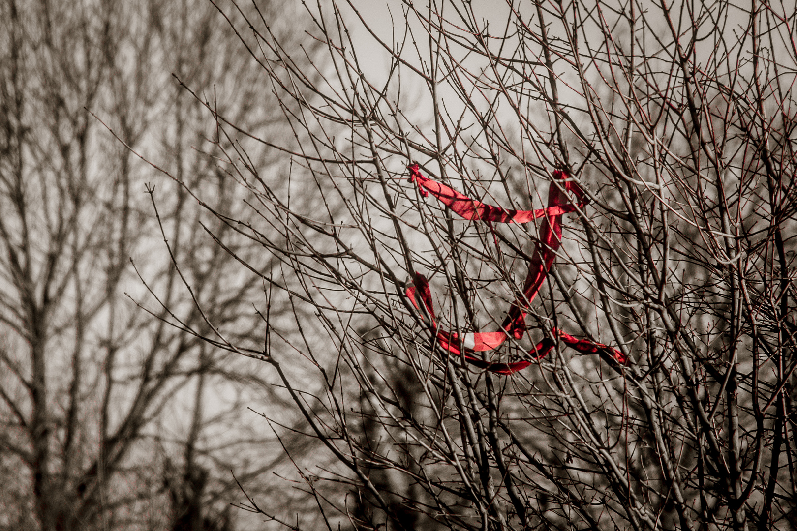 red scarf